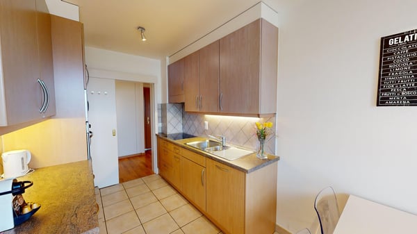 Spacious 2-Bed,2 Bath Apartment with Parking, Balcony and Lake View! 5