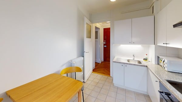 Charming furnished studio with balcony in Geneva Plainpalais 6