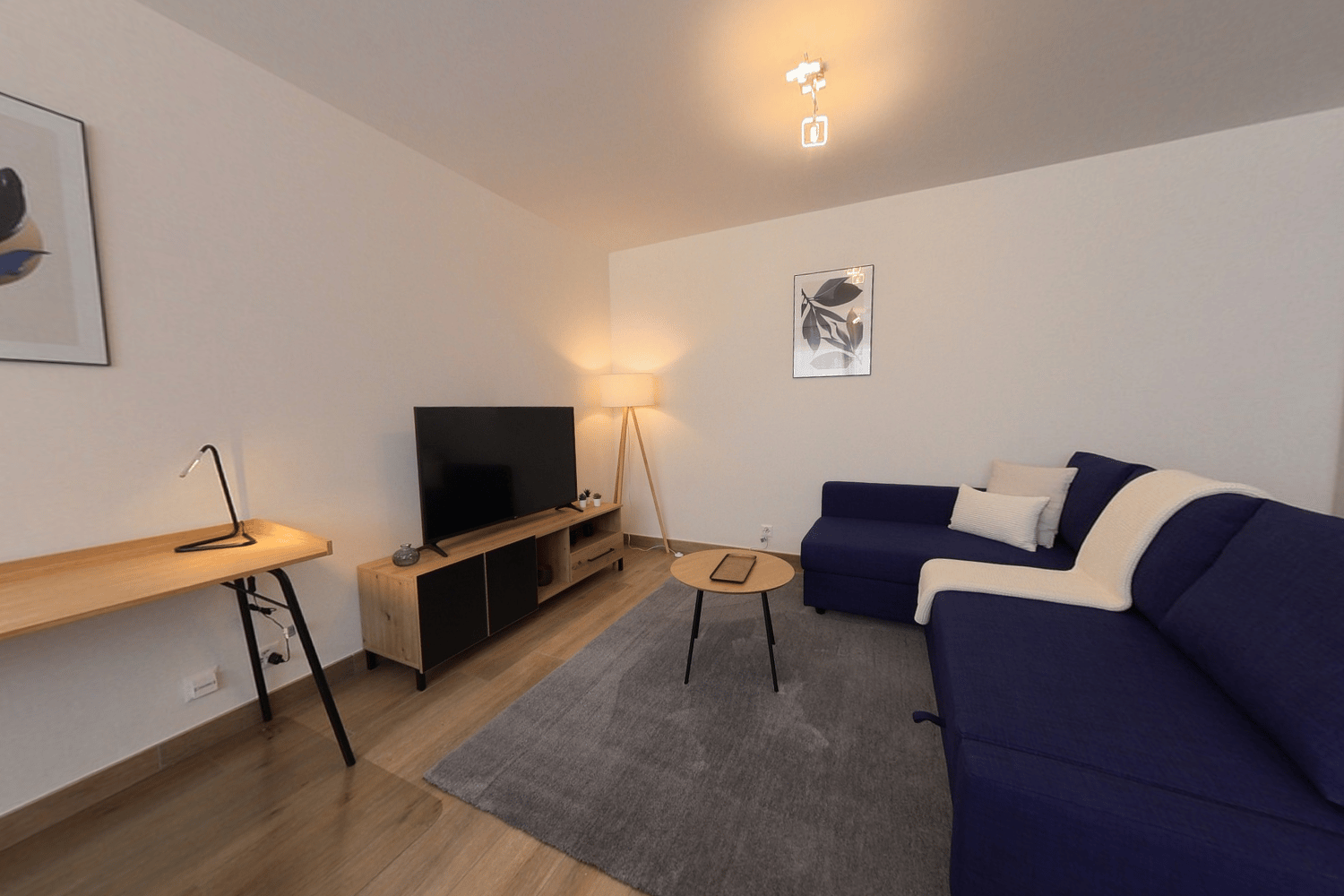 Living room with a blue sofa, wooden desk, TV, lamp, and rug