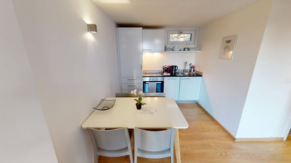 Rooftop Views & Central Location: 1-Bedroom Apartment in Lausanne 8