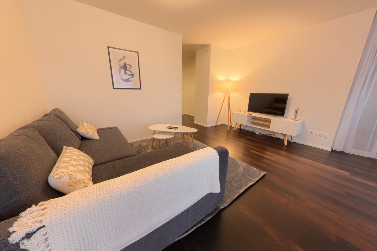 Living room with a gray sofa, two white pillows, a white coffee table, a floor lamp, a flat screen TV, a white entertainment center, a picture frame on the wall, and a rug.