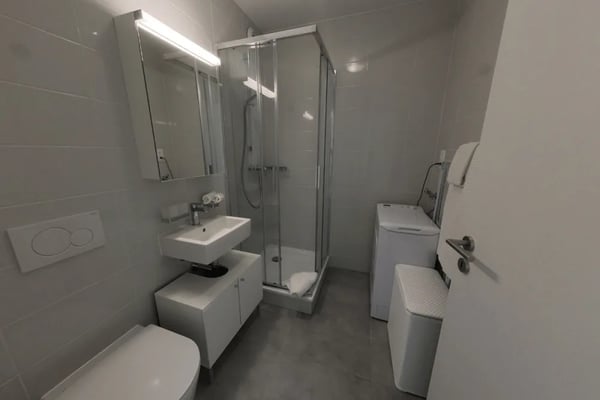 Furnished 1-bed with Balcony & Parking / Appartement meublé 1 chambre Nyon 5