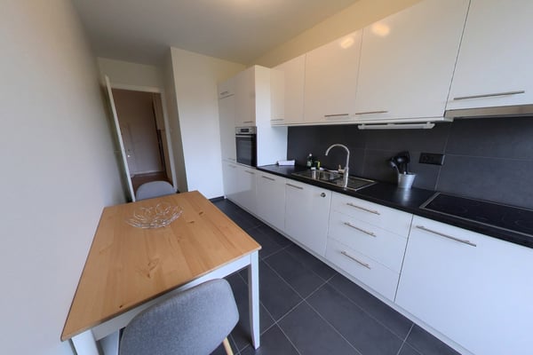 Spacious 2-Bedroom Furnished Apartment with Balcony and River Views in Geneva 6
