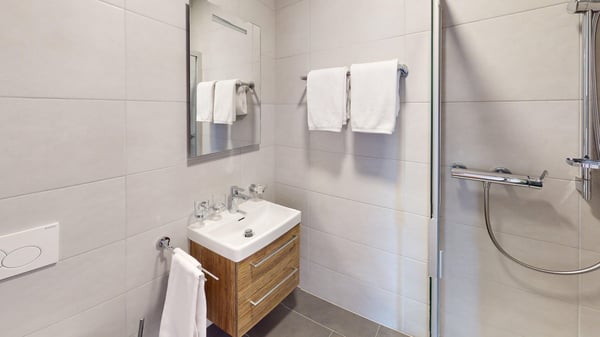 Furnished 2-Bed with balcony and parking in Nyon/Appartement 2 chambres avec balcon et parking Nyon 9