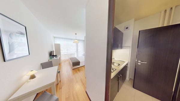 Well-located Studio Apartment in Geneva's Plainpalais District 4