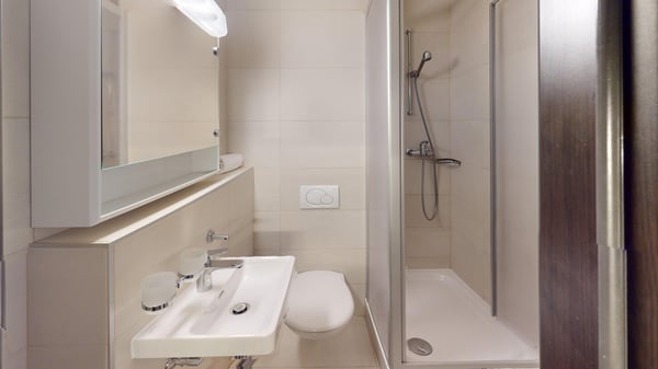 Well-located Studio Apartment in Geneva's Plainpalais District 12