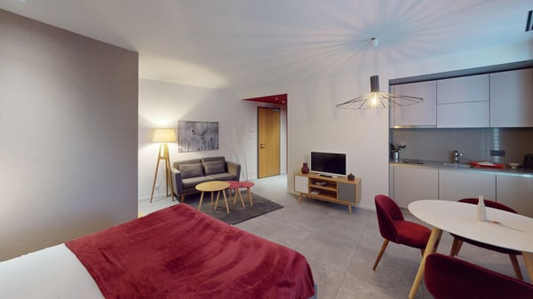 Charming furnished studio near Geneva Lake (Cornavin District) 19