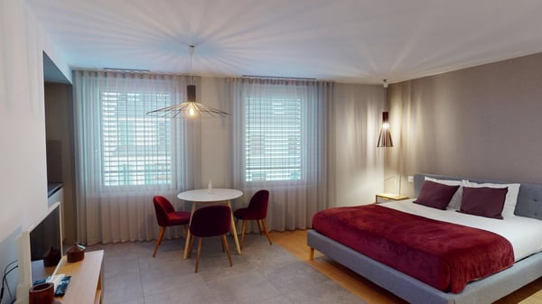 Charming furnished studio near Geneva Lake (Cornavin District) 10