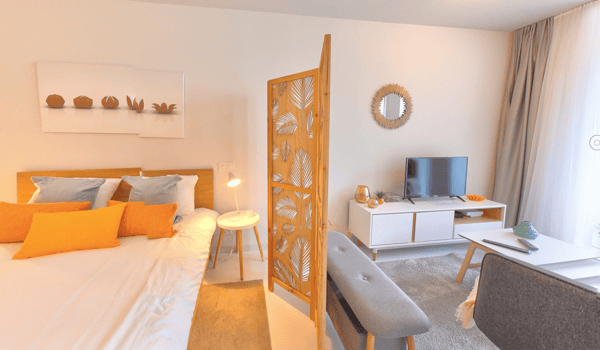 Furnished Premium studio with parking space available - Nyon 2