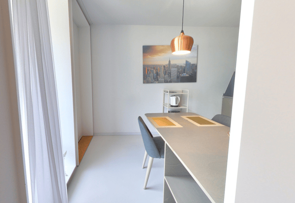 Furnished Premium studio with parking space available - Nyon 6