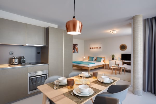 Studio meublé Deluxe/Furnished Deluxe studio in Nyon 7