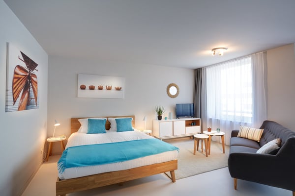 Studio meublé Deluxe/Furnished Deluxe studio in Nyon 1