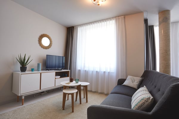 Studio meublé Deluxe/Furnished Deluxe studio in Nyon 8