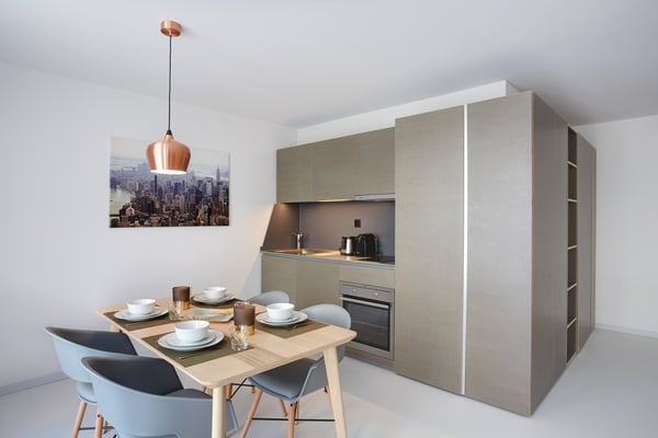 Studio meublé Deluxe/Furnished Deluxe studio in Nyon 6