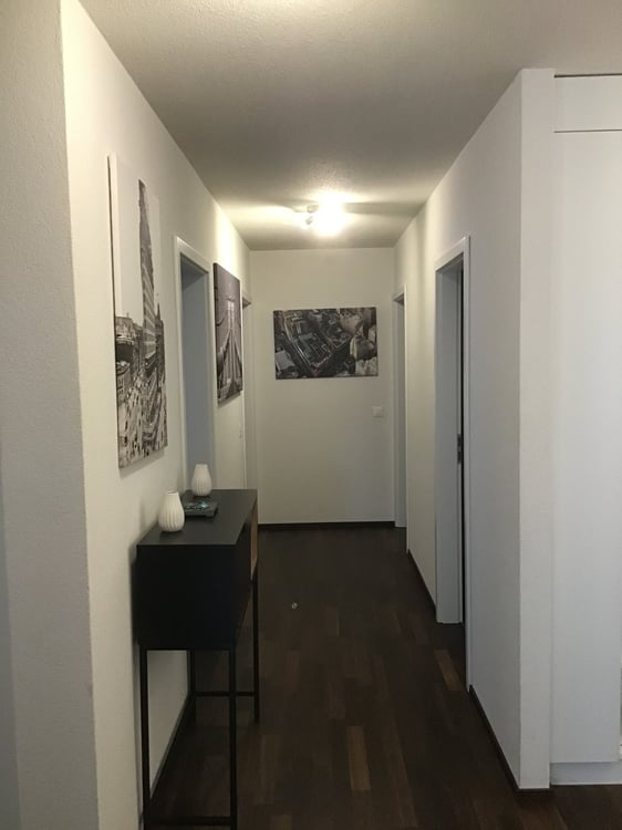 Appartement meublé 4.5p à 3 minutes du lac 8