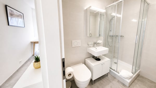 Furnished 1-bed with Balcony & Parking / Appartement meublé 1 chambre Nyon 12