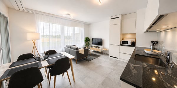 Furnished 1-bed with Balcony & Parking / Appartement meublé 1 chambre Nyon 2