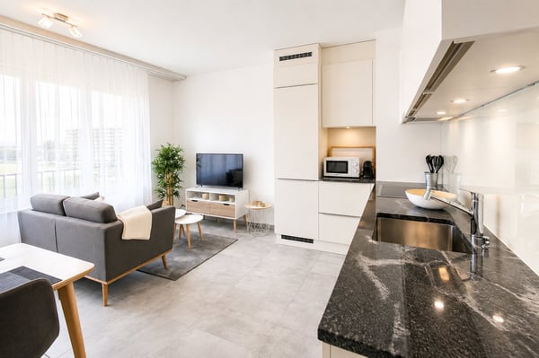Furnished 1-bed with Balcony & Parking / Appartement meublé 1 chambre Nyon 4