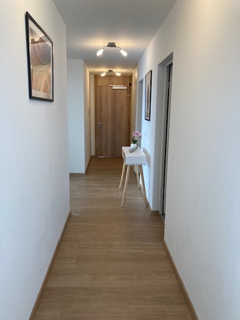 Spacious 85 m² 2-bedroom apartment with lake and mountain views - 3min to lake with parking 14