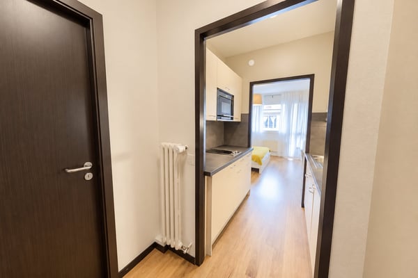 Modern Fully Furnished Studio near University of Geneva & HUG - Plainpalais, Geneva 4