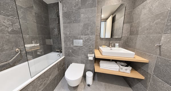 Charming Furnished 1-bed in the Heart of Geneva 5