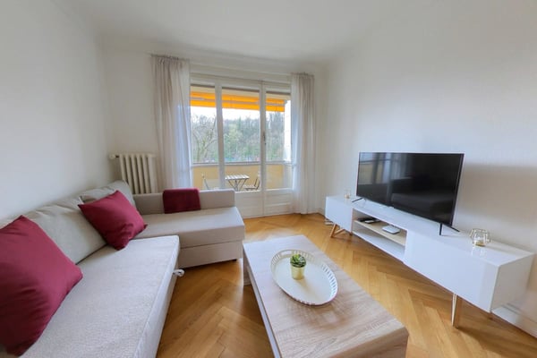 Furnished apartment - 1 bedroom / Appartement meublé 1 chambre - in the center of Geneva 1