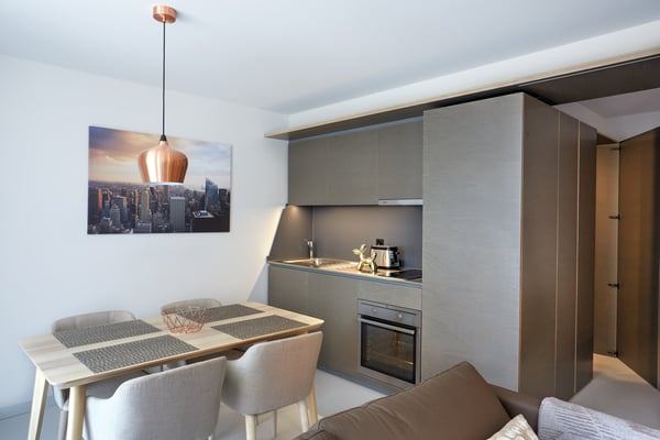 Studio meublé Standard /Furnished studio Standard Nyon 3