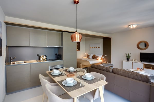 Studio meublé Standard /Furnished studio Standard Nyon 2