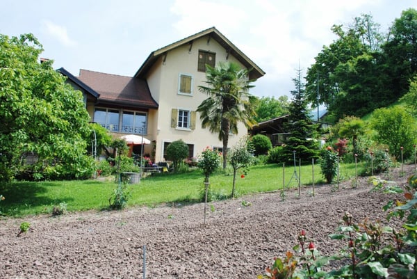 Belle maison vigneronne 1