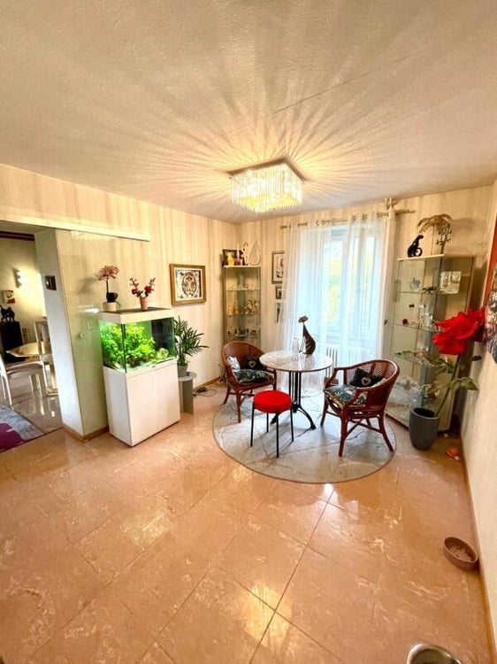 Belle maison vigneronne, Montreux 6