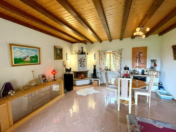 Belle maison vigneronne, Montreux 4