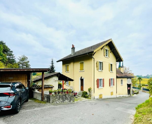 Belle maison vigneronne, Montreux 2