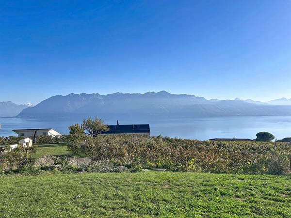 Magnifique opportunité! à 6 minutes à pied de la gare, appartement récent avec deux chambres, terrasse et jardin, vue panoramique sur le lac et les Alpes, une place de parc extérieure.