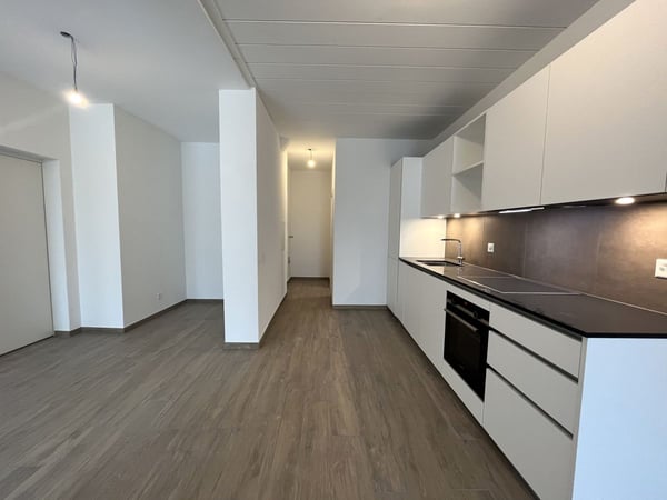 Immeuble résidentiel de 4 appartements à Crissier 3