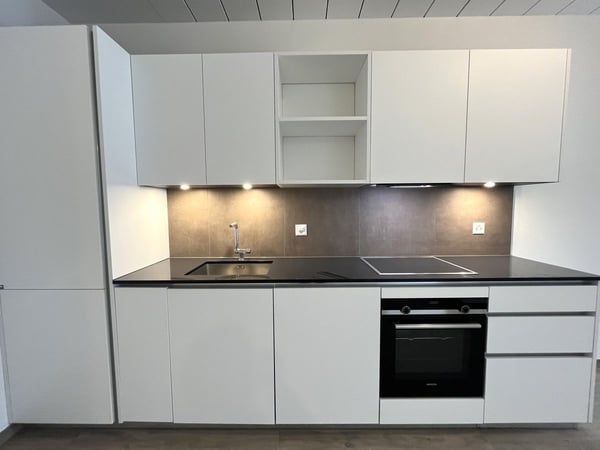 Immeuble résidentiel de 4 appartements à Crissier 8