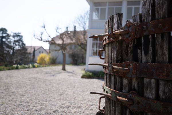 La Demeure au Marronnier - Une propriété d'exception au coeur du vignoble vaudois 13