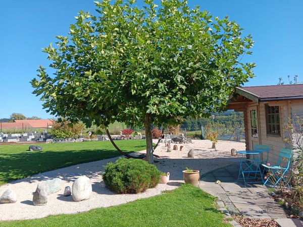 URSY - Magnifique maison contemporaine à Mossel 11