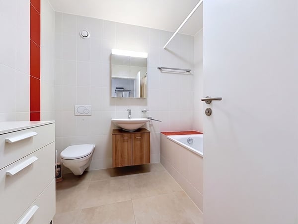 INVESTISSEURS - Appartement 3.5P avec maintient des locataires 9