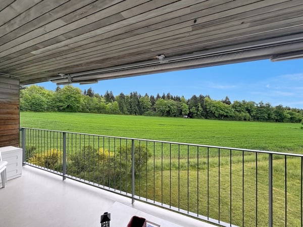 INVESTISSEURS - Appartement 3.5P avec maintient des locataires 4