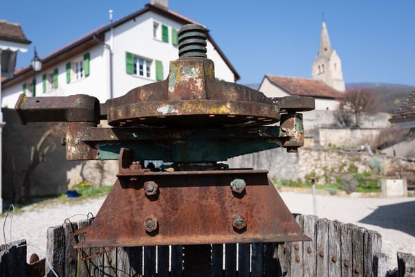 La Demeure au Marronnier - Une propriété d'exception au coeur du vignoble vaudois 2