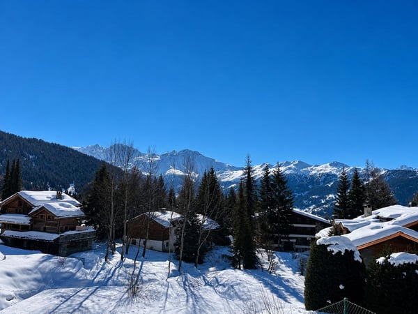 Exclusivité - Propriété rare - Splendide chalet et grande parcelle constructible 2
