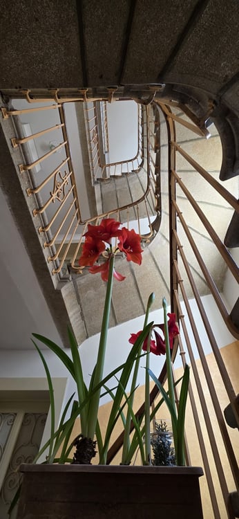 Immeuble de rendement à Lausanne Beaulieu - 8 appartements loués 4