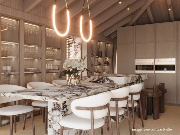 Pully - Duplex en attique d'exception 4