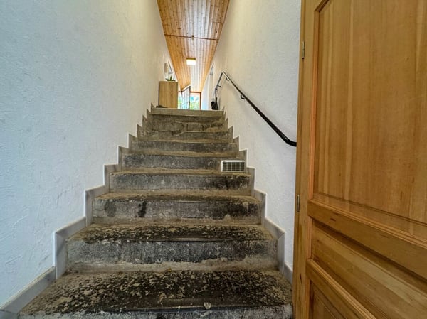 Propriété de 2 logements ainsi qu'une parcelle constructible avec jardin 8