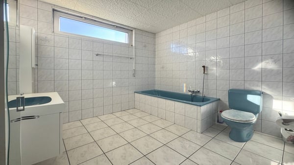 Halles artisanales, déjà louées, et un appartement de 5,5 pièces. 10