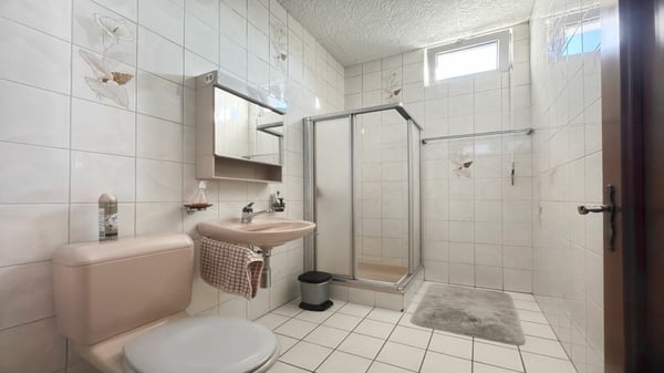 Halles artisanales, déjà louées, et un appartement de 5,5 pièces. 9