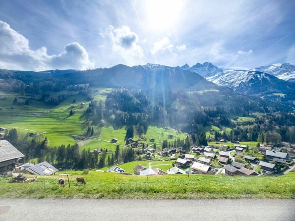 Appartement de 1.5 pièces dans un magnifique chalet. 9