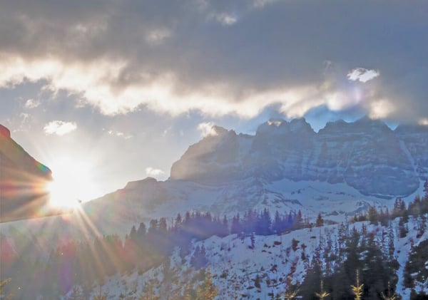 Appartement de 1.5 pièces dans un magnifique chalet. 7