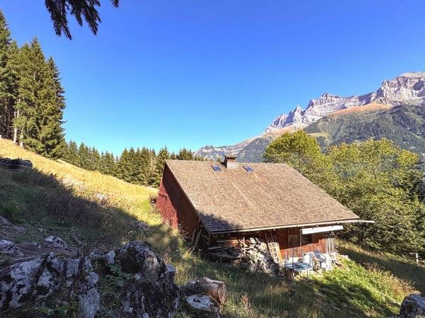 Bien rare - Chalet de 2.5 pièces niché dans 28'000 m² de forêt et de prairie. 14
