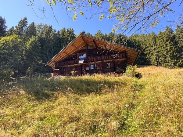Bien rare - Chalet de 2.5 pièces niché dans 28'000 m² de forêt et de prairie. 18